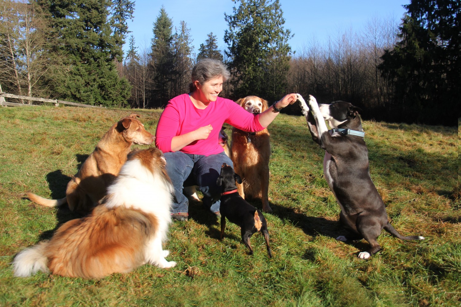 Dr. Robinett with Bella, Conner, Jessie, Roo, and Jasmine